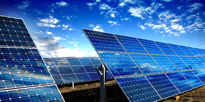 World Environment Day 2024: Photovoltaic Panels