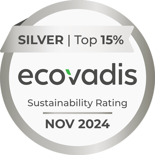 EcoVadis November 2024 Silver Medal