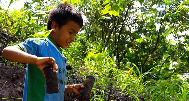 Sustainability-Actions-Trees-Child-Forest-Reforestaction-Peru-650x350-25