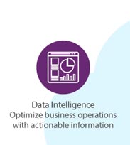 Data Intelligence