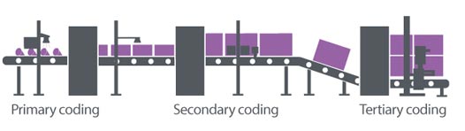 Product Coding | Case Coding | Pallet Coding