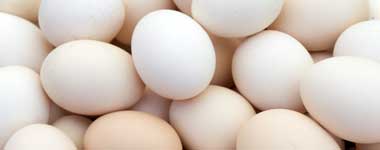 Egg-White-380x150-30