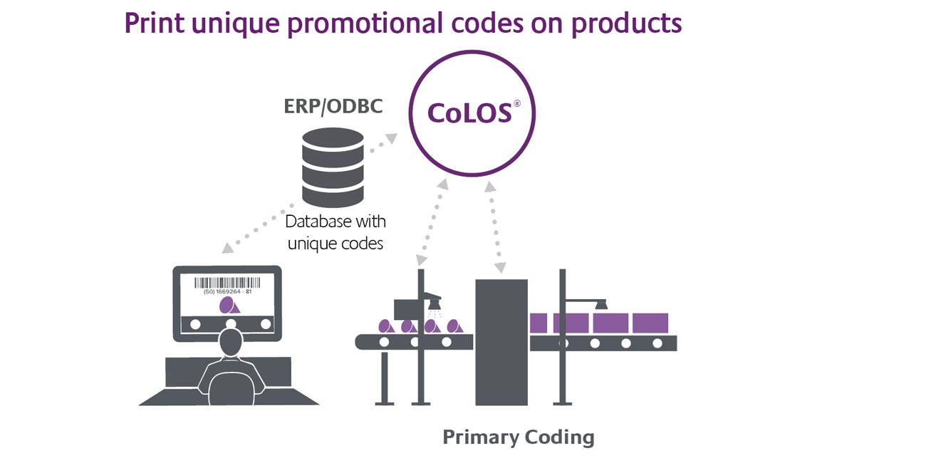 Promotional Coding | Serialization